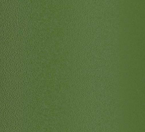 Olive   Stainless Steel